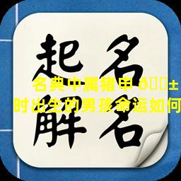 名典中属猪申 🐱 时出生的男孩命运如何
